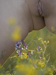 Aneli A Picture 5