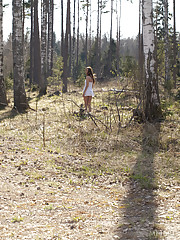 Lachia A Picture 15
