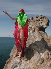 Firebird A Picture 14