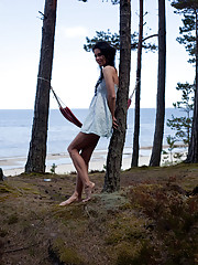 Lachia A Picture 15