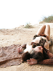 Firebird A Picture 7