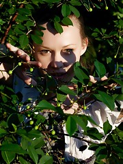 Virginia Sun Picture 1