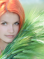 Violla A Picture 1