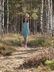 Lachia A Picture 1