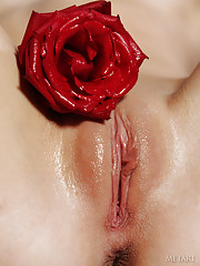 Adele B Picture 13