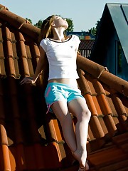 Virginia Sun Picture 1