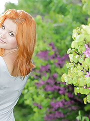 Violla A Picture 2