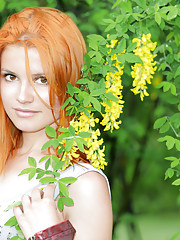 Violla A Picture 3