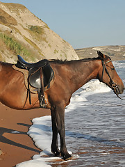 Suzanna A Picture 1