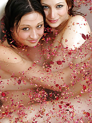 Amecylia A Picture 8