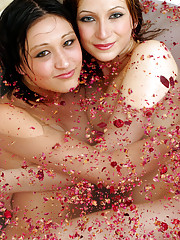 Amecylia A Picture 9