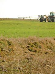 Daniella A Picture 3