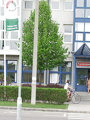 Orsy A Picture 15