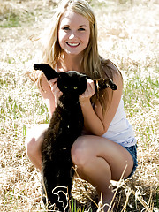 Jewel A Picture 2