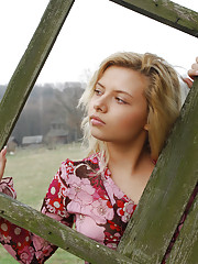 Angelini A Picture 4