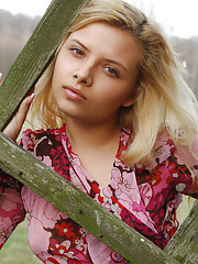 Angelini A Picture 5