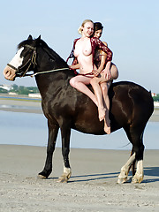 Sofi A Picture 3