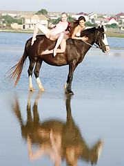 Sofi A Picture 9