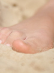 Selesta B Picture 12