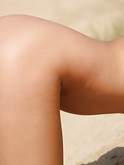 Selesta B Picture 14