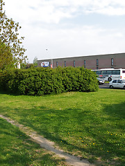 Joan White Picture 12