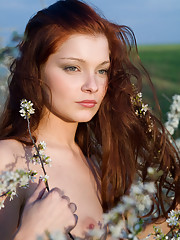 Indiana A Picture 11