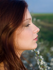 Indiana A Picture 12