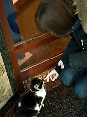 Candy Rose Picture 15