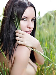 Nika E Picture 4