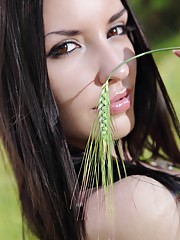 Nika E Picture 14