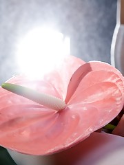 Augusta Crystal Picture 15