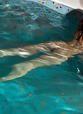 Candy Rose Picture 10