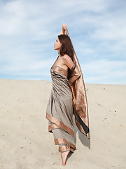Firebird A Picture 1